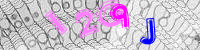 Blue Captcha Image